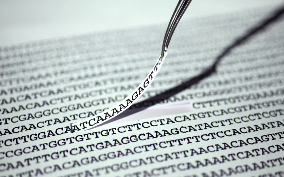 Image of DNA nucleotides