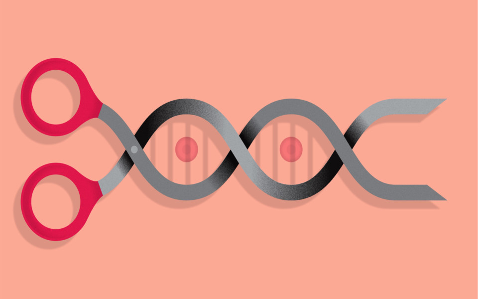 Image of CRISPR molecular scissors