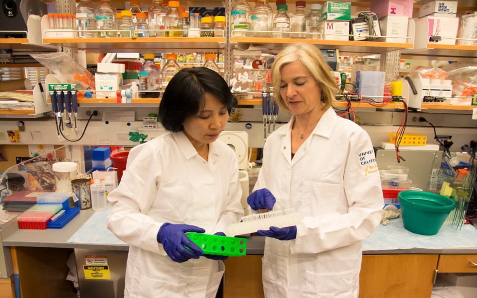 Image of Doudna and Hong discussing CRISPR experiment