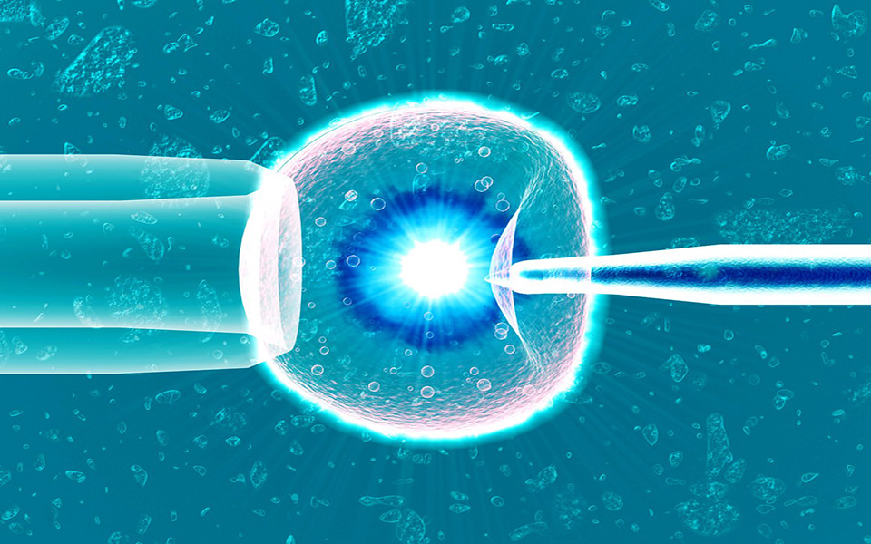 Image IVF process