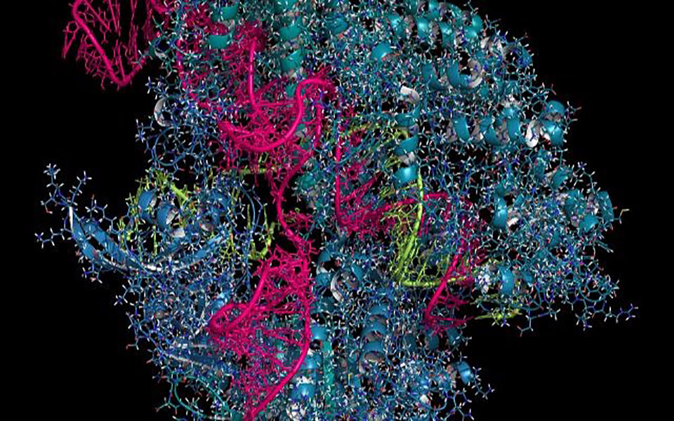 3D image of CRISPR-Cas9