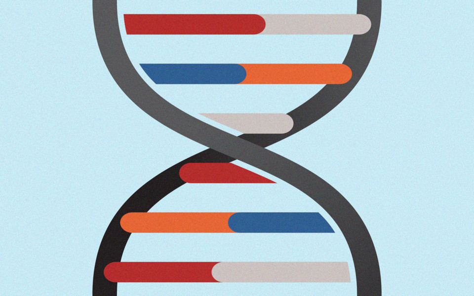 Image of CRISPR edited DNA