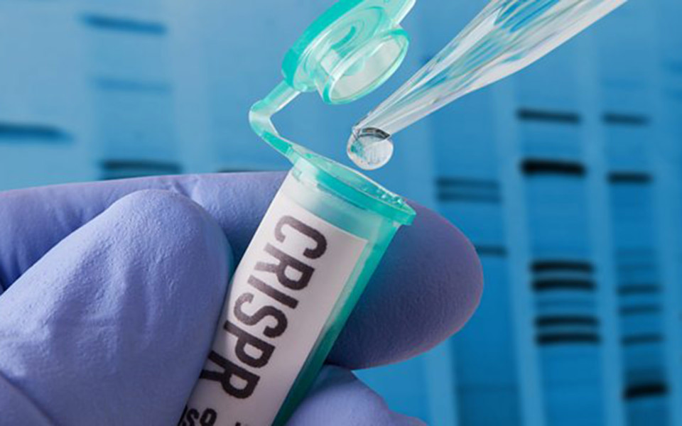 Image of CRISPR test tube
