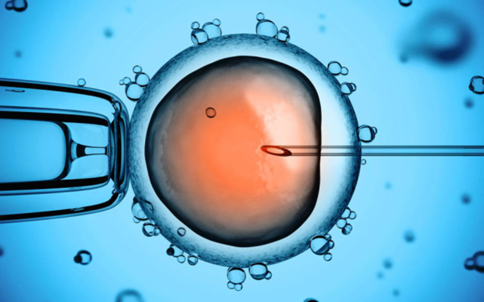 Image of CRISPR injection into embryo