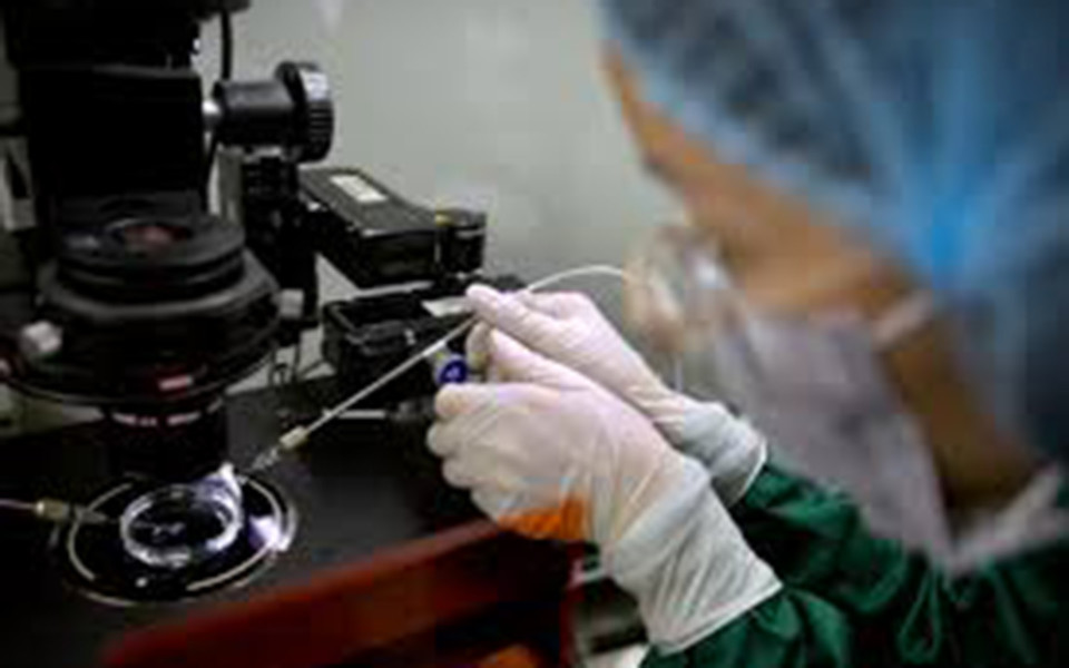 Image of scientist in lab editing embryo