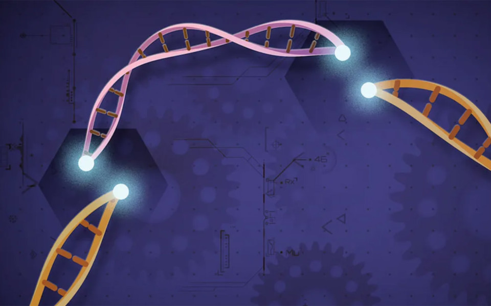 Illustration of DNA