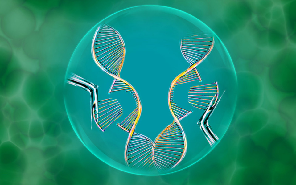 Image of DNA inside a cell