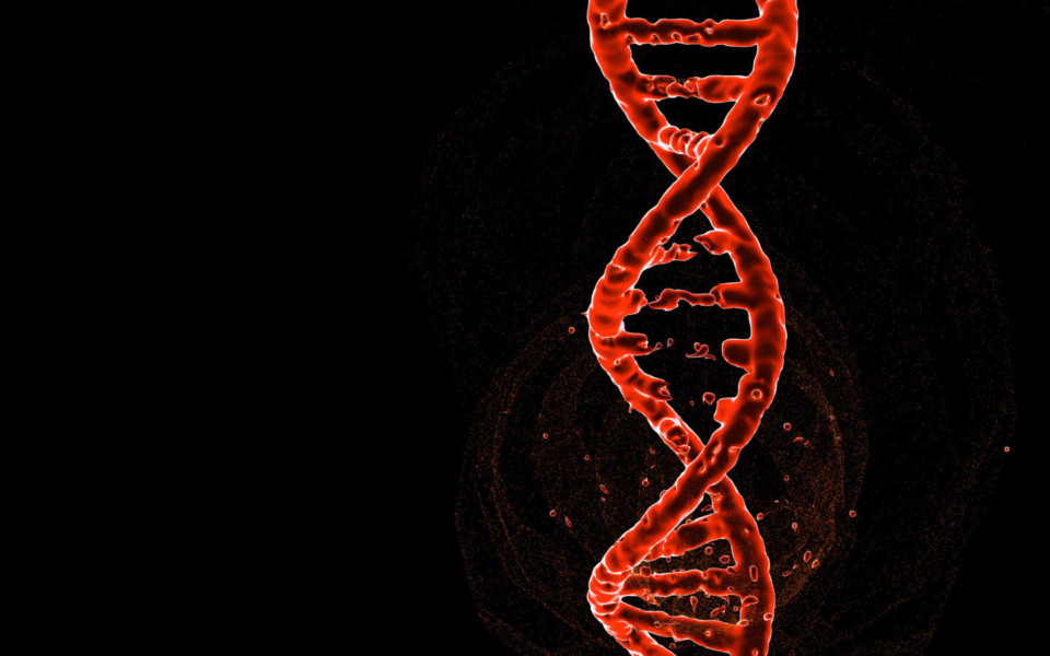 Illustration of DNA