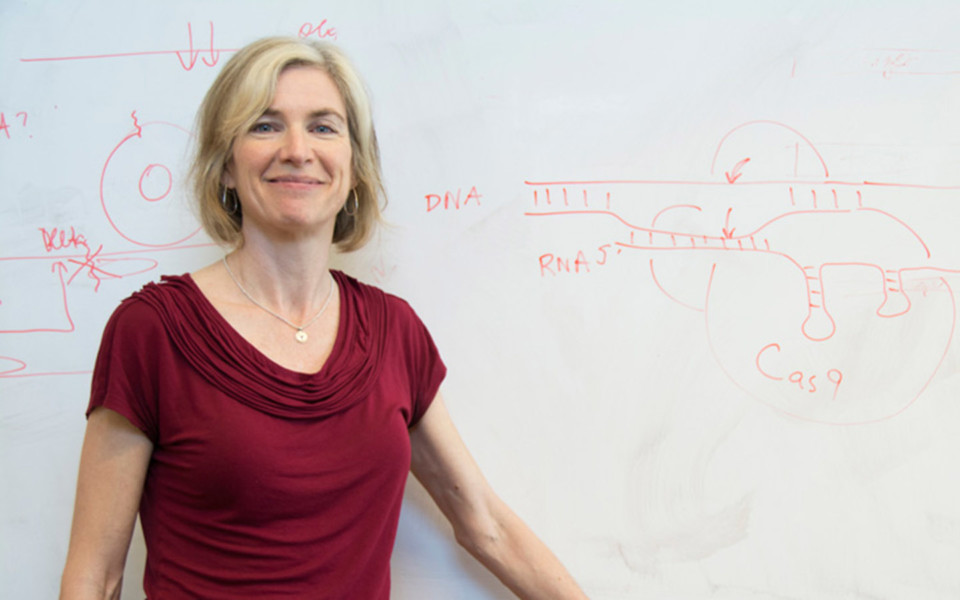 Image of Jennifer Doudna in front of Cas9 drawing
