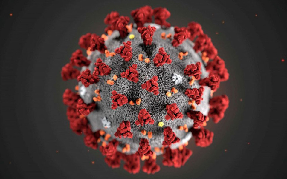 Illustration of coronavirus