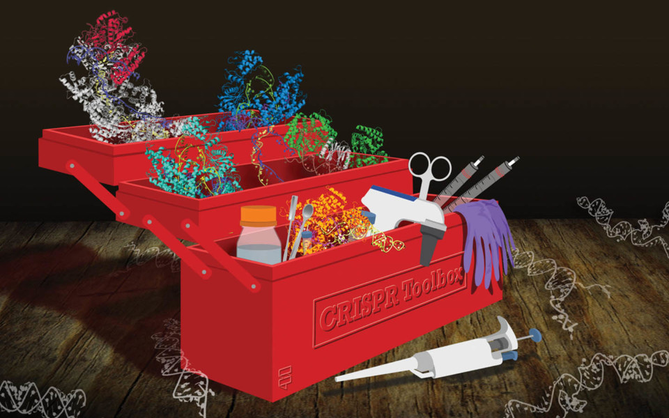 Image of CRISPR toolbox with genome editing tools