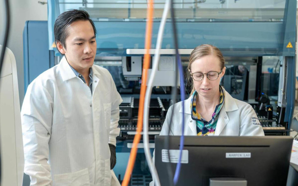 Image of scientists working at computer in lab