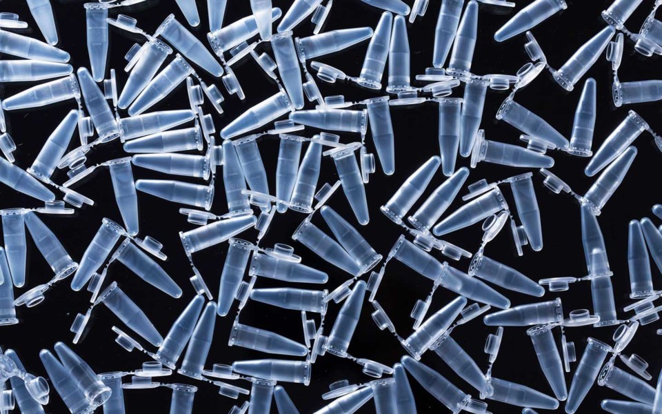 Image of micro test tubes