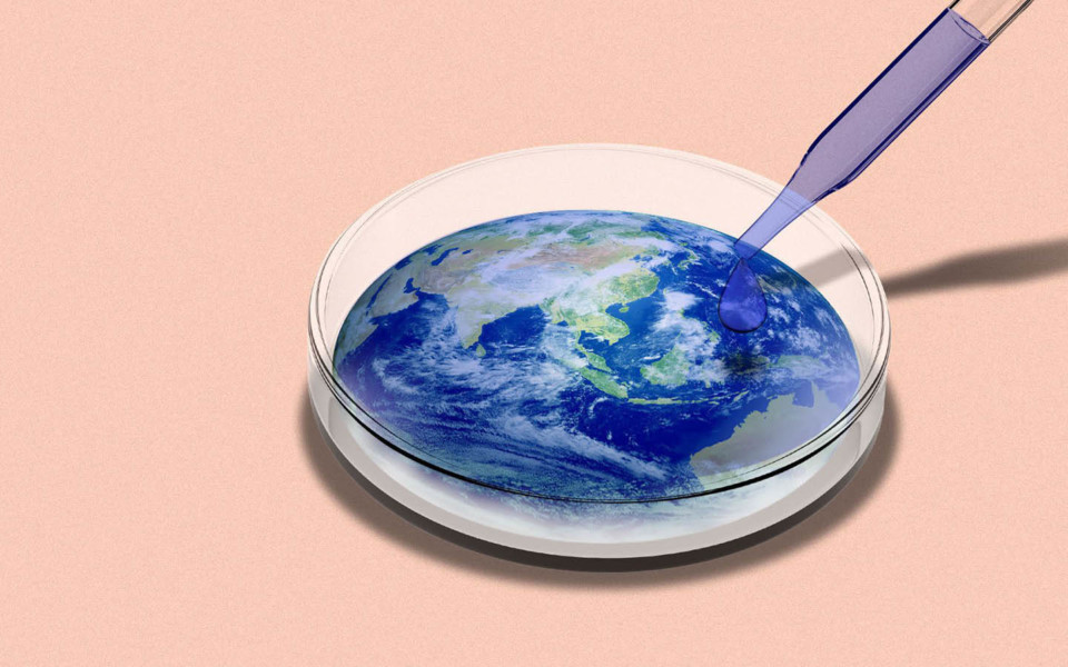 Illustration of globe in petri dish