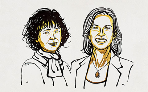 Illustration of 2020 Nobel Prize of Chemistry recipients Emmanuelle Charpentier and Jennifer Doudna