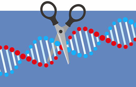 Illustration of scissors cutting DNA strand