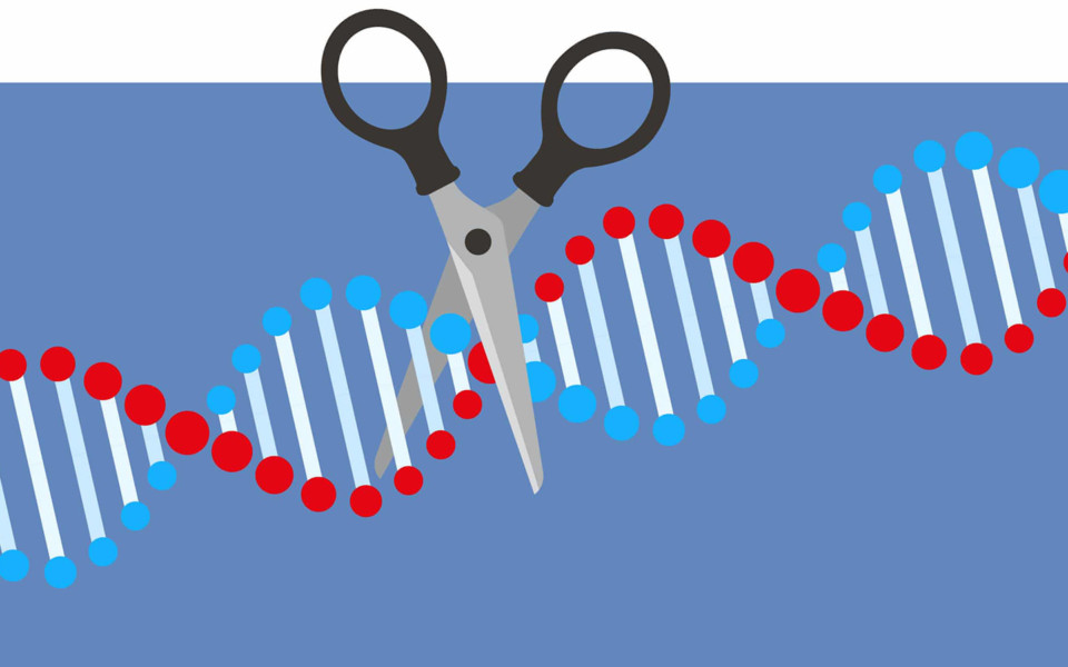 Illustration of scissors cutting DNA strand
