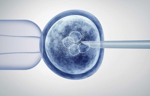 Crispr gene-editing ‘revolution’ treats internal organ for first time