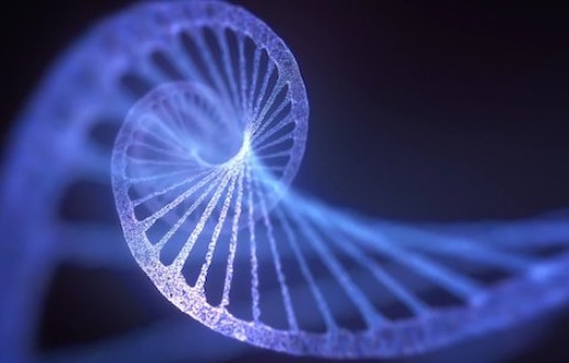 Newly-Discovered ‘Borg’ DNA Is Unlike Anything Scientists Have Ever Seen