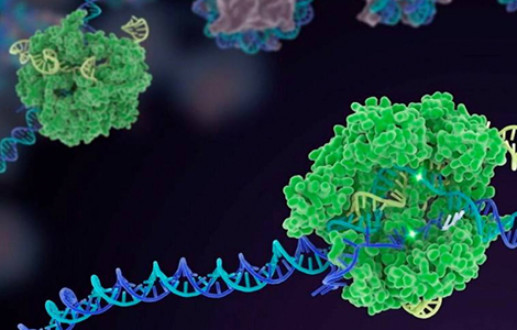 Revolutionary Crispr Gene Editing Speeds from Lab to Treatment Room