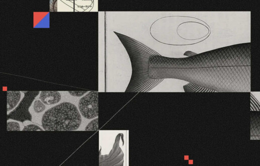 The Age of CRISPR