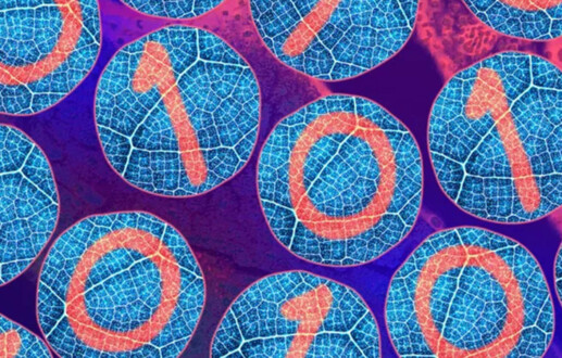 Dealmakers back AI drug discovery boom