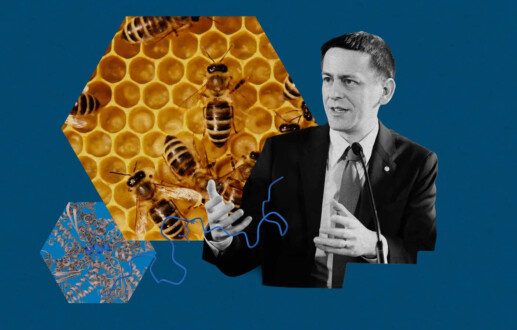 What’s next for AlphaFold: A conversation with a Google DeepMind Nobel laureate