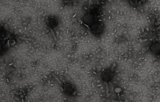 The Next Gene-Editing Technology May Also Be the Oldest